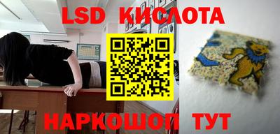 индика Кандалакша