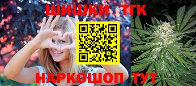 индика Кандалакша