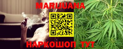 индика Кандалакша