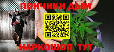 индика Кандалакша