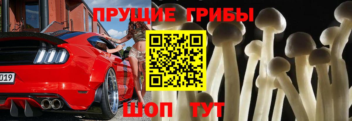 Галлюциногенные грибы мицелий Шебекино